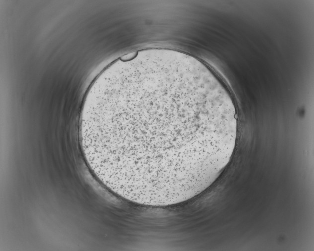 X0000115651100200912221326
