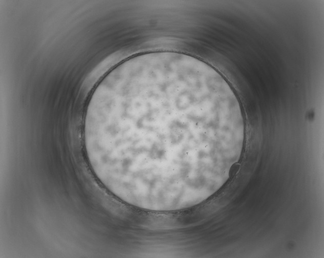 X0000115651101200912221326