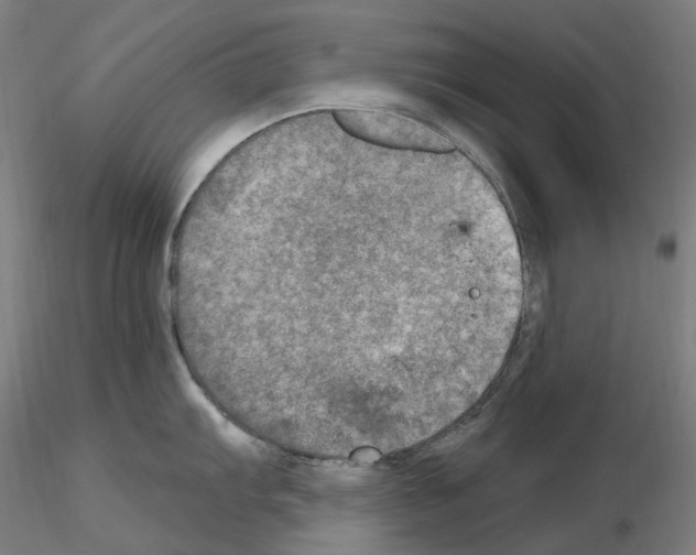 X0000115651103200912221326