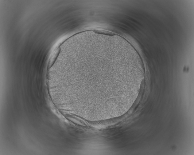 X0000115651104200912221326