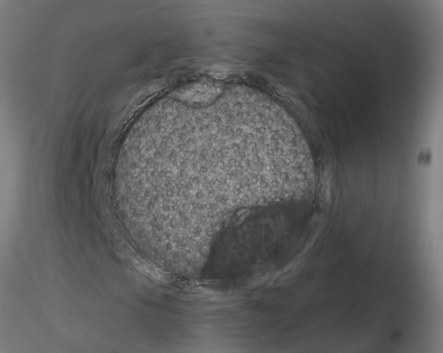 X0000115651105200912221325