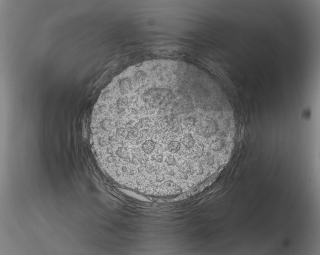 X0000115651106200912221325