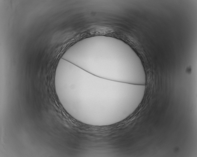 X0000115651109200912221325