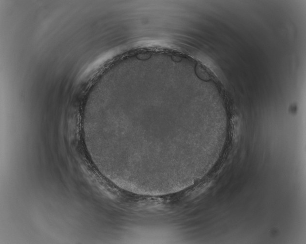 X0000115651111200912221325