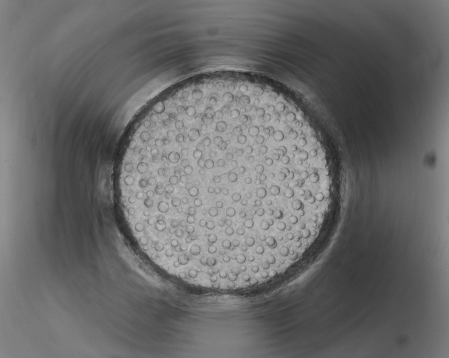 X0000115651113200912221325