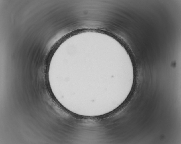 X0000115651114200912221325