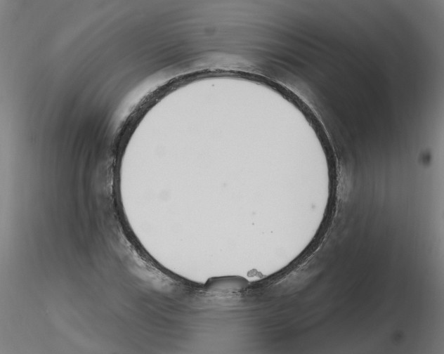 X0000115651115200912221325