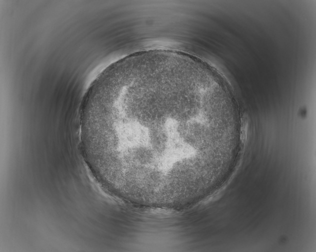 X0000115651117200912221325