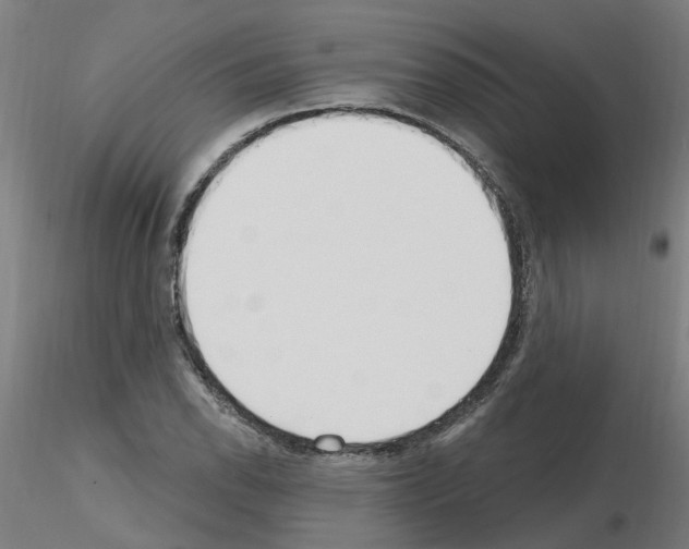 X0000115651118200912221325