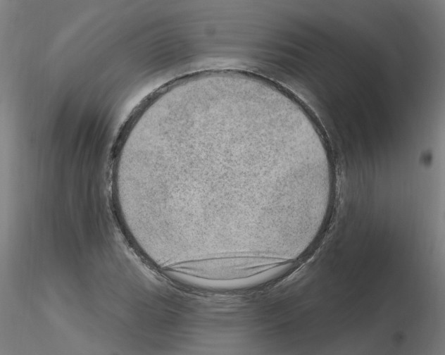 X0000115651119200912221325