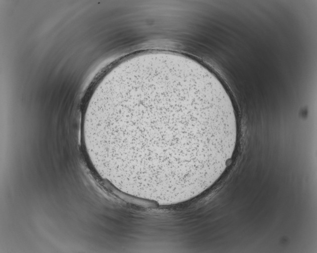 X0000115651123200912221325
