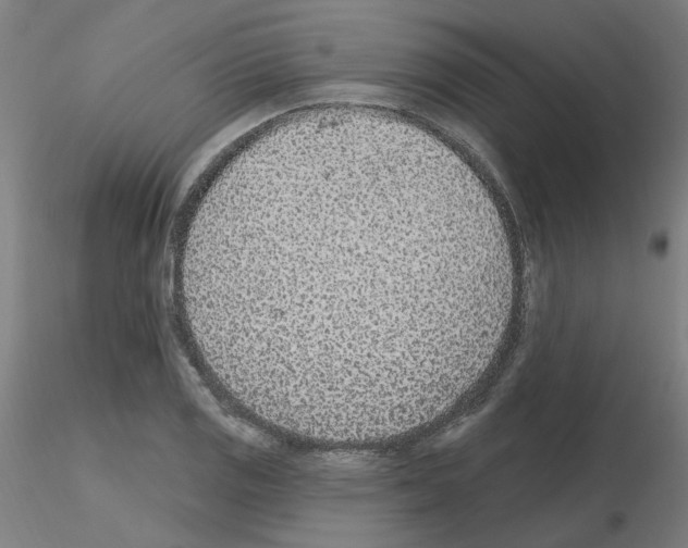 X0000115651125200912221325