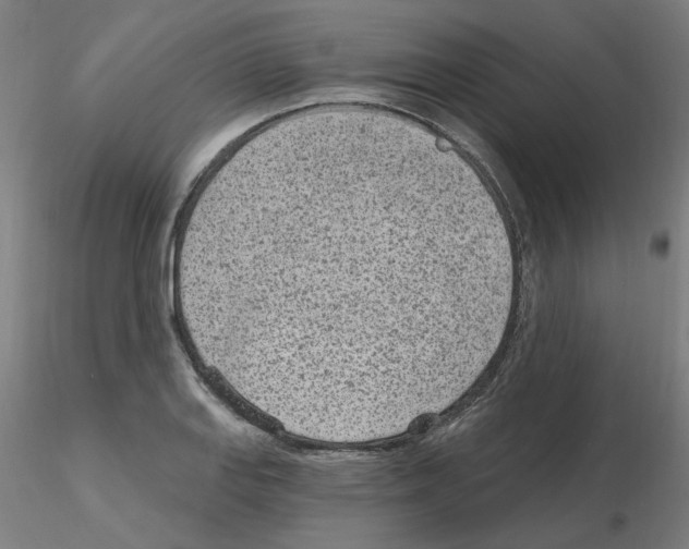 X0000115651127200912221325