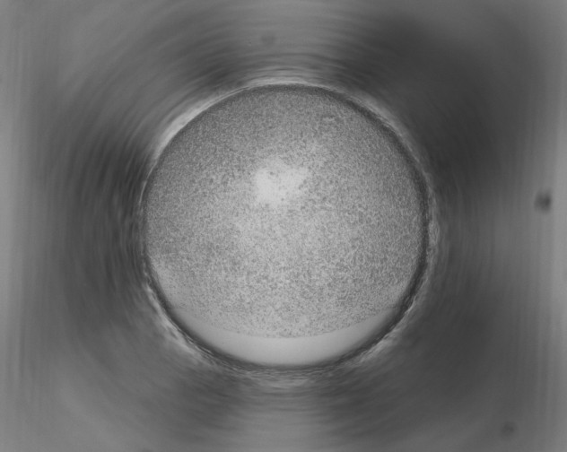 X0000115651129200912221325