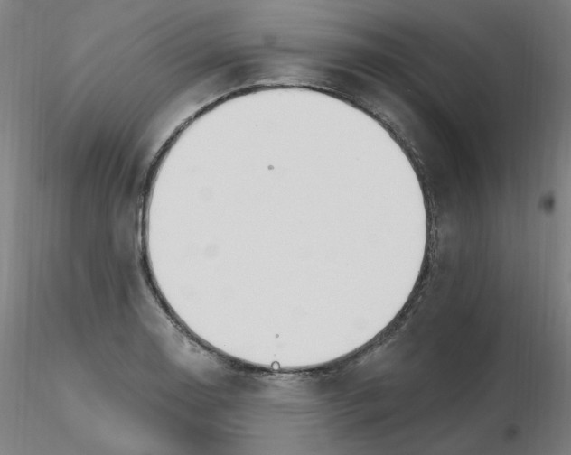 X0000115651130200912221325