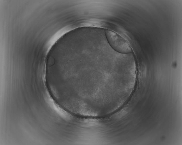 X0000115651131200912221325