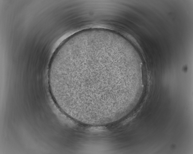 X0000115651133200912221325