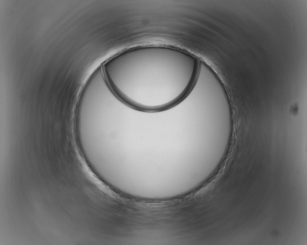 X0000115651134200912221325