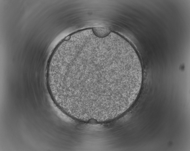 X0000115651135200912221325