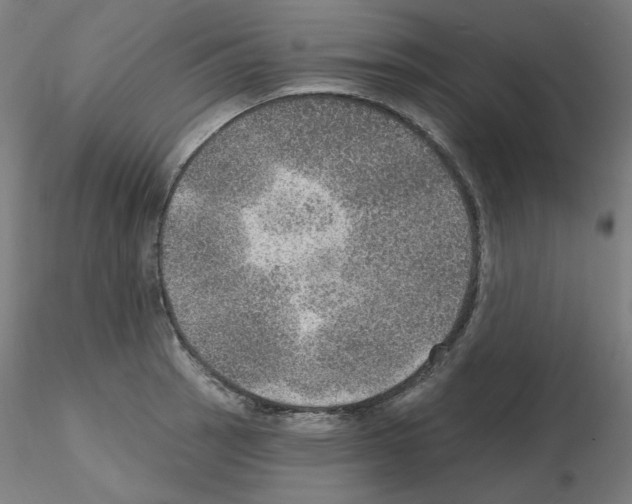 X0000115651137200912221325