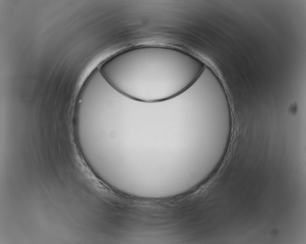 X0000115651138200912221325