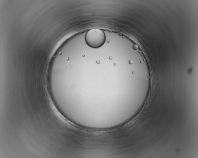X0000115651139200912221325
