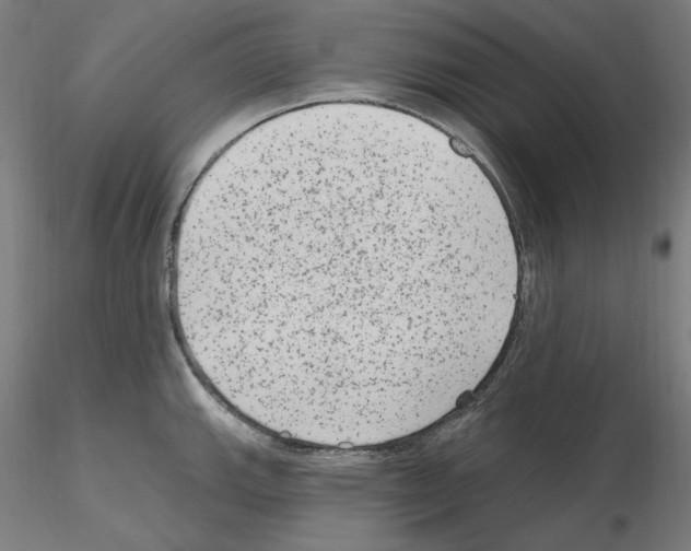 X0000115651143200912221325