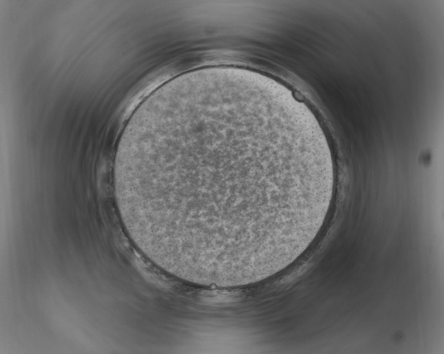 X0000115651145200912221326