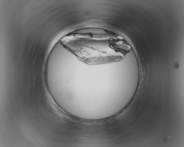 X0000115651146200912221326