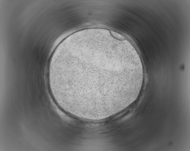 X0000115651149200912221326