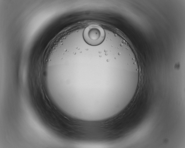 X0000115651151200912221326
