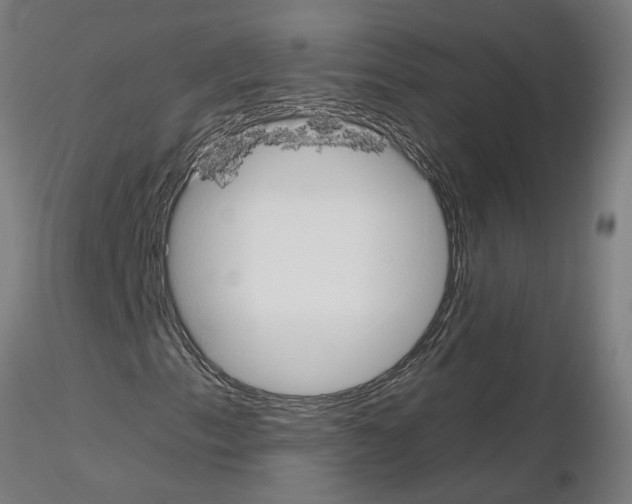 X0000115651153200912221325