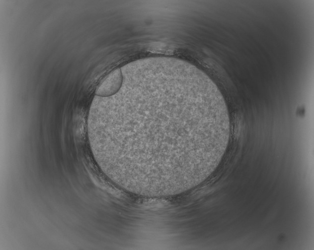 X0000115651154200912221325