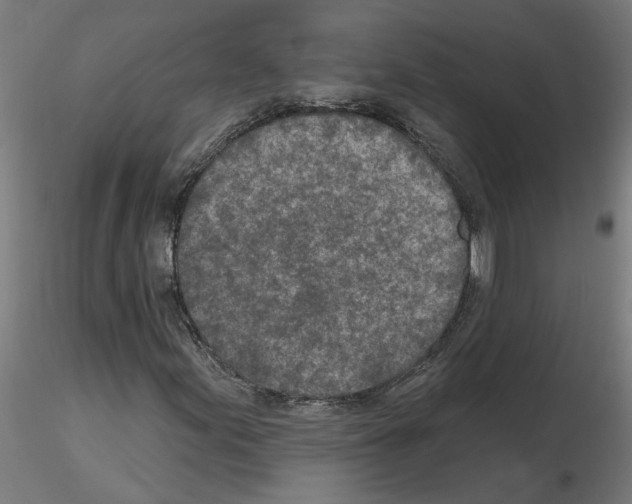 X0000115651155200912221325
