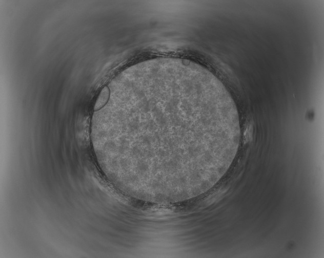 X0000115651156200912221325