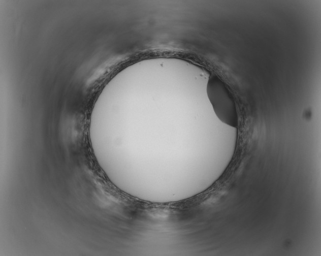 X0000115651157200912221325