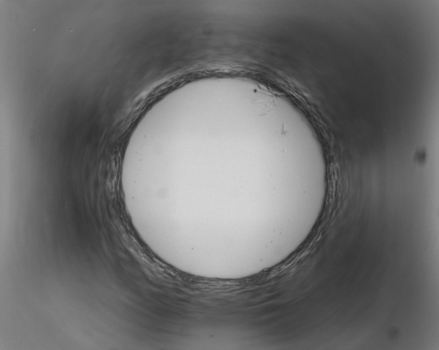 X0000115651158200912221325