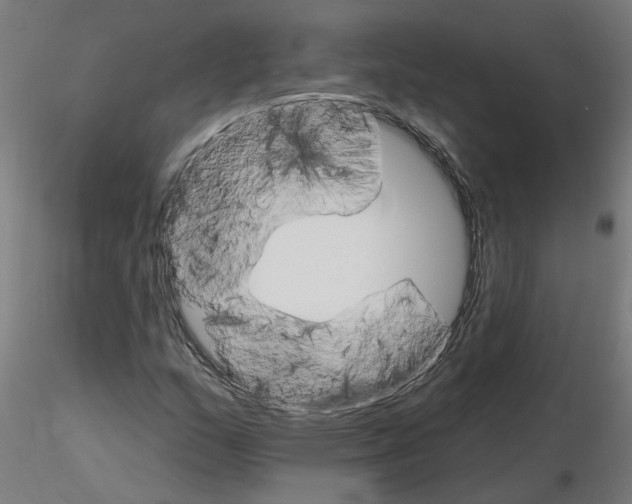 X0000115651159200912221325
