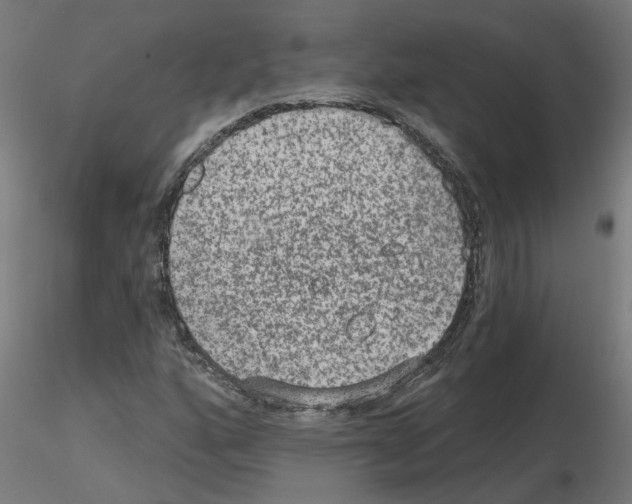 X0000115651160200912221325