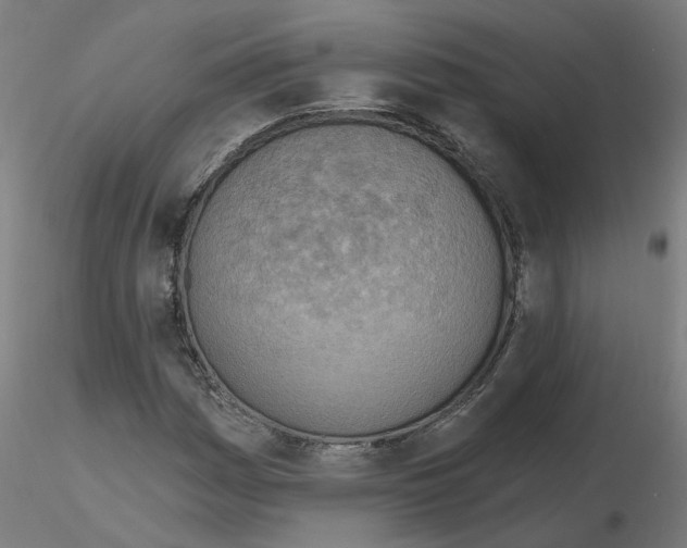 X0000115651161200912221325
