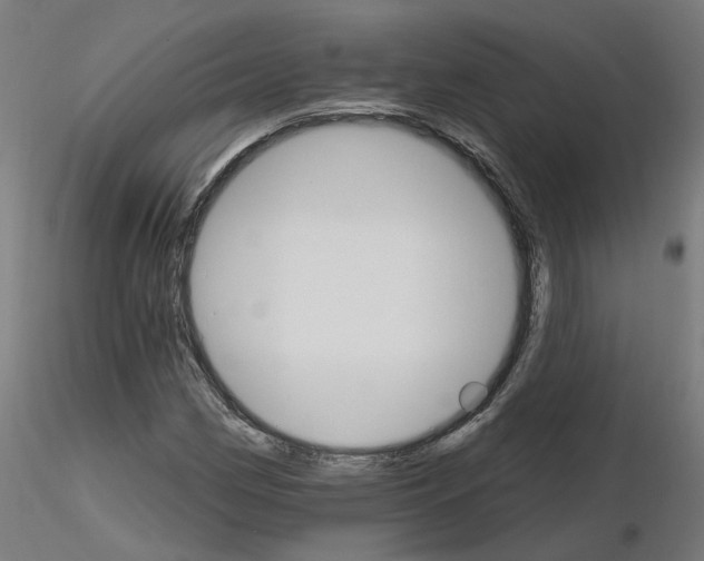 X0000115651162200912221325