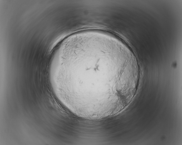 X0000115651163200912221325
