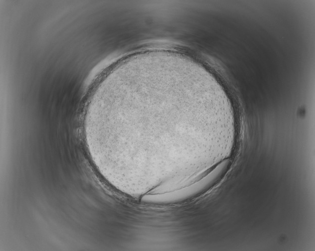 X0000115651164200912221325