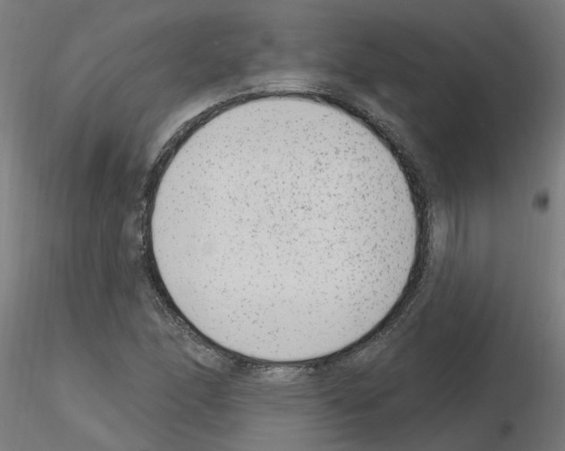 X0000115651166200912221325