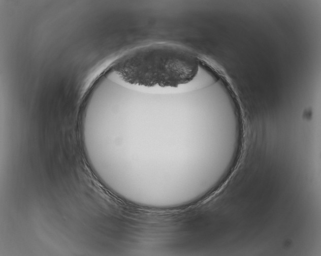 X0000115651167200912221325