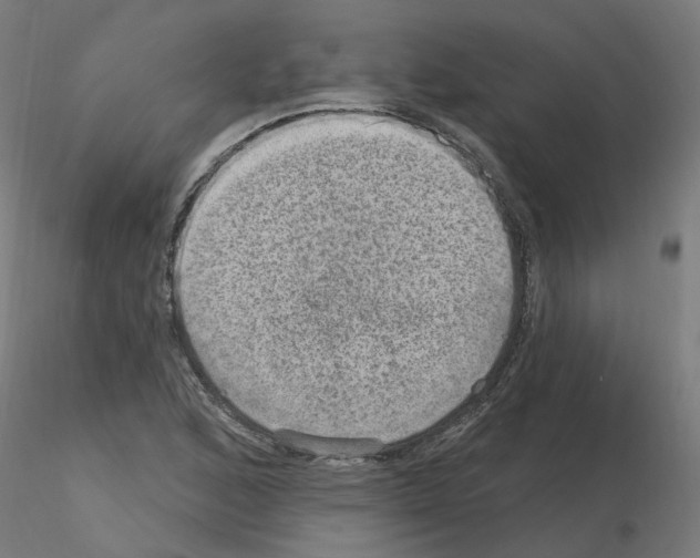 X0000115651168200912221325