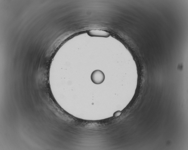 X0000115651169200912221325