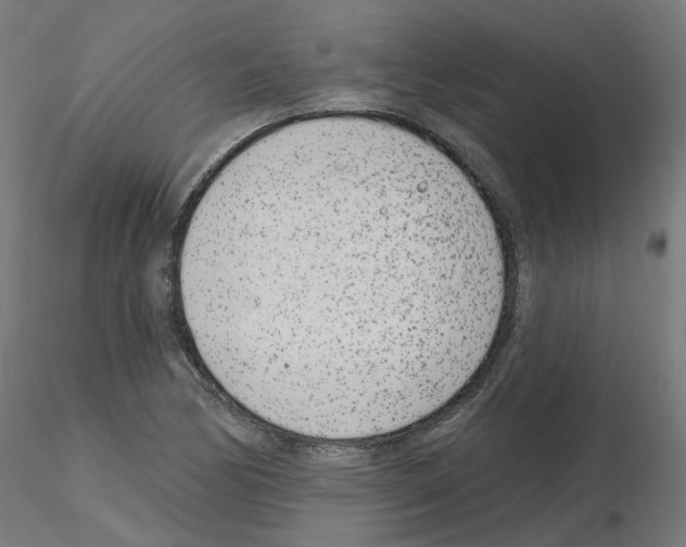 X0000115651170200912221325