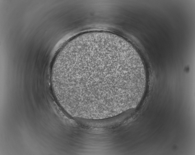 X0000115651172200912221325