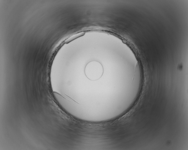 X0000115651173200912221325